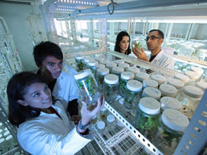 Science Laboratory 电话攻击